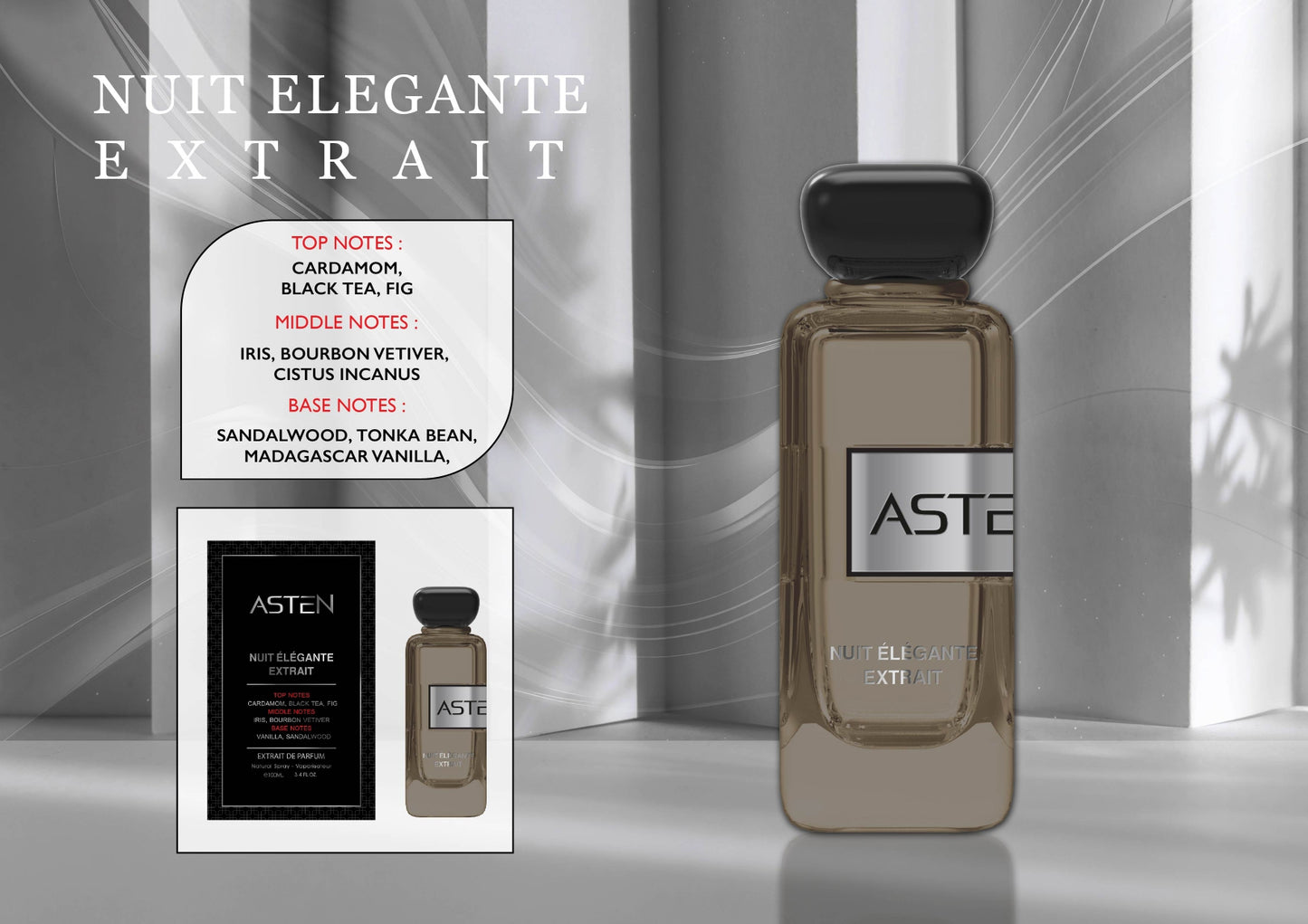 ASTEN NUIT ELEGANTE EXTRAIT 100ML EDP Френски Мъжки Парфюм
