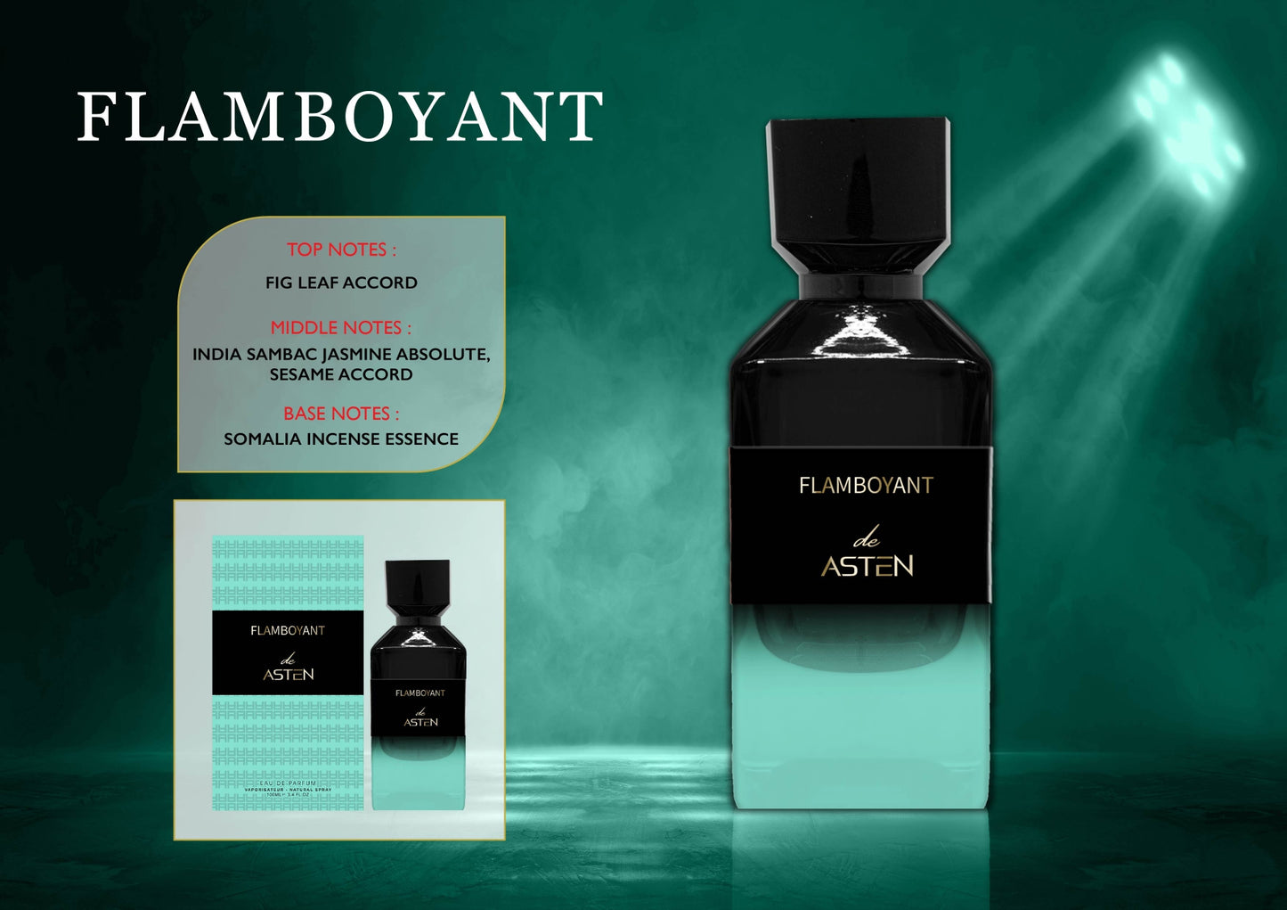 ASTEN FLAMBOYANT 100ML EDP Френски Мъжки Парфюм
