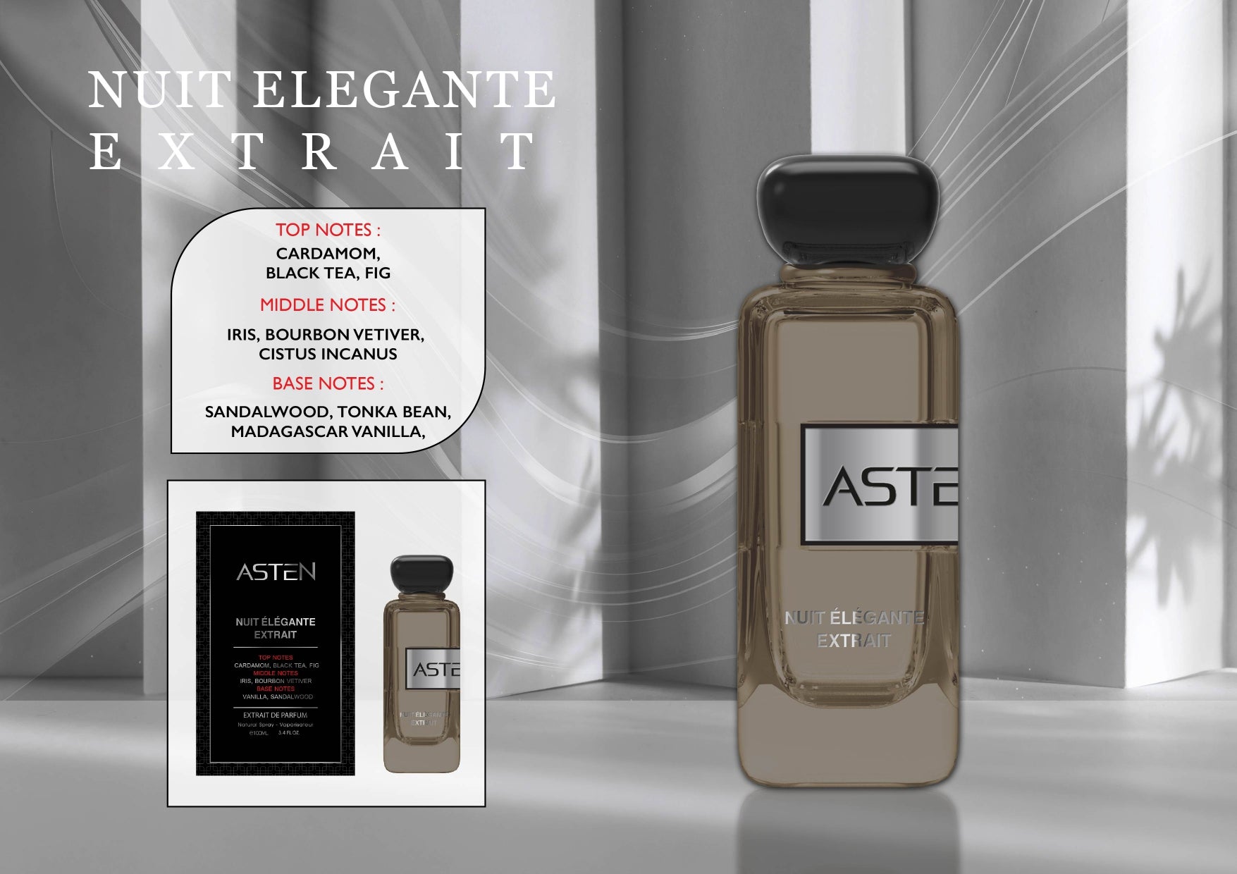 ASTEN NUIT ELEGANTE EXTRAIT 100ML EDP Френски Мъжки Парфюм - Denaya