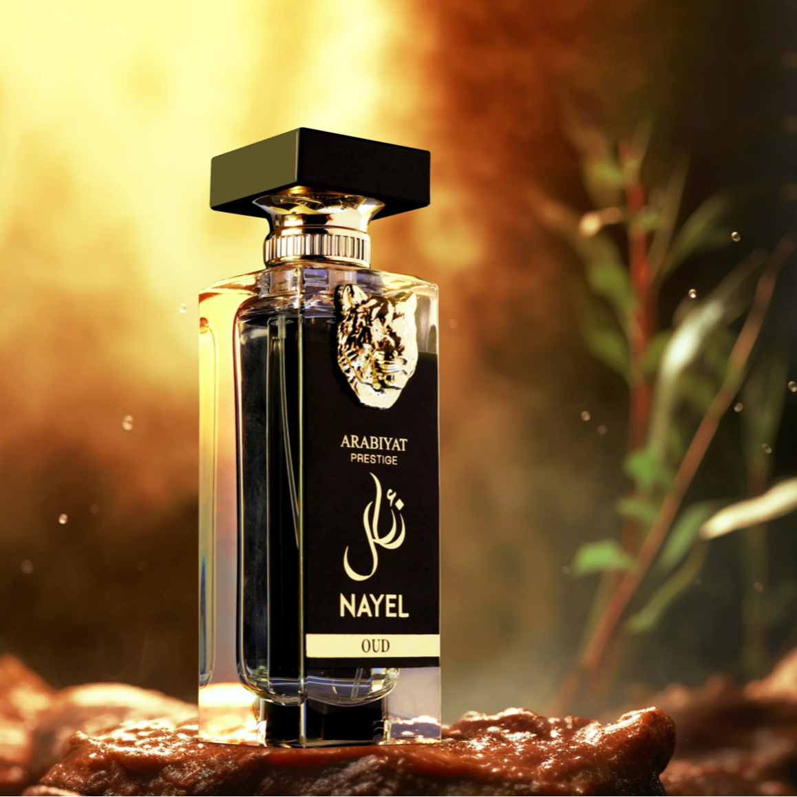 Nayel Oud EDP 7O mL Арабски Унисекс Парфюм - Denaya