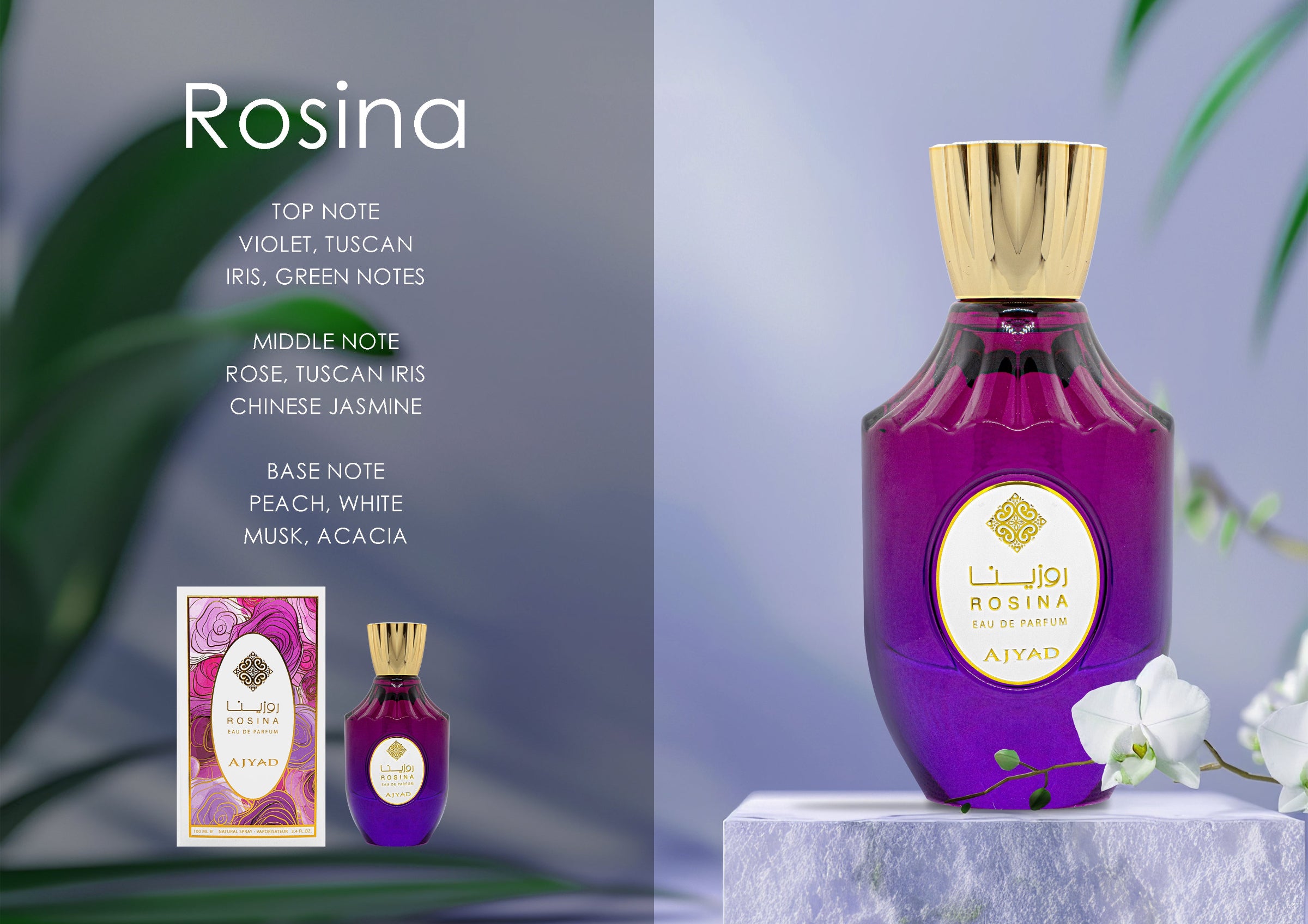 AJYAD ROSINA 100ML EDP Френски Женски Парфюм - Denaya